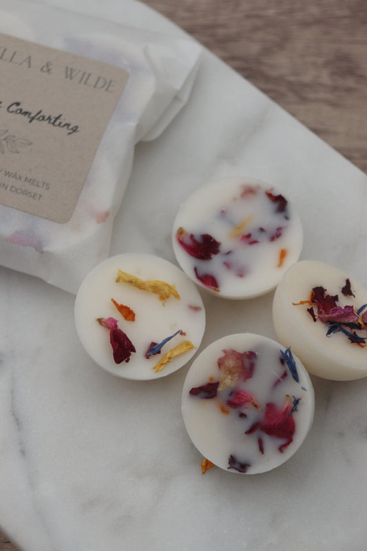 Sea Shells Wax Melt Domes